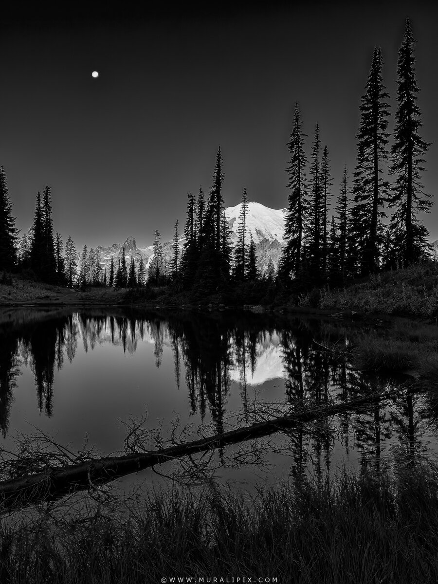 2025.08.12 - Little Tipsoo Lakein B&W.jpg