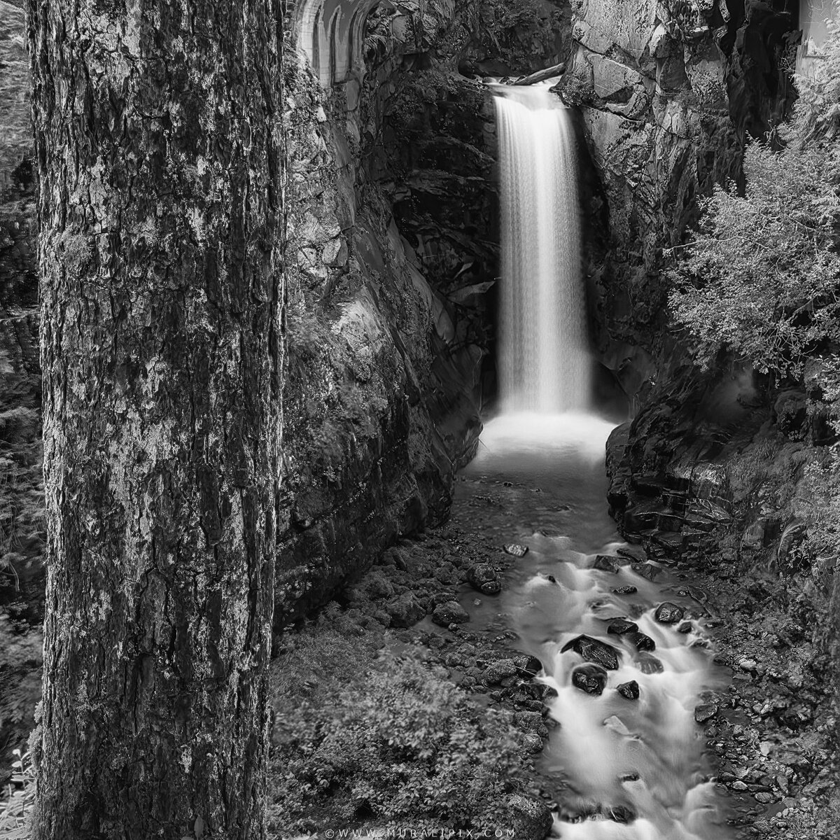 2025.08.20 - Christine Falls in B&W.jpg