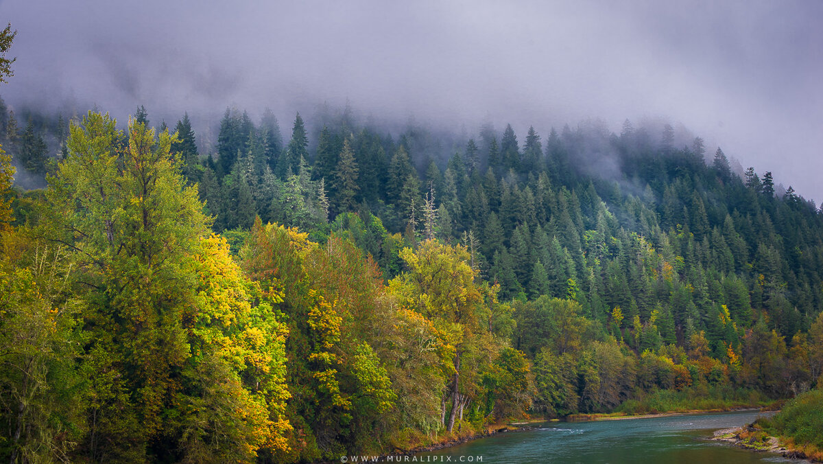 2025.10.02 - Skagit River 2.jpg
