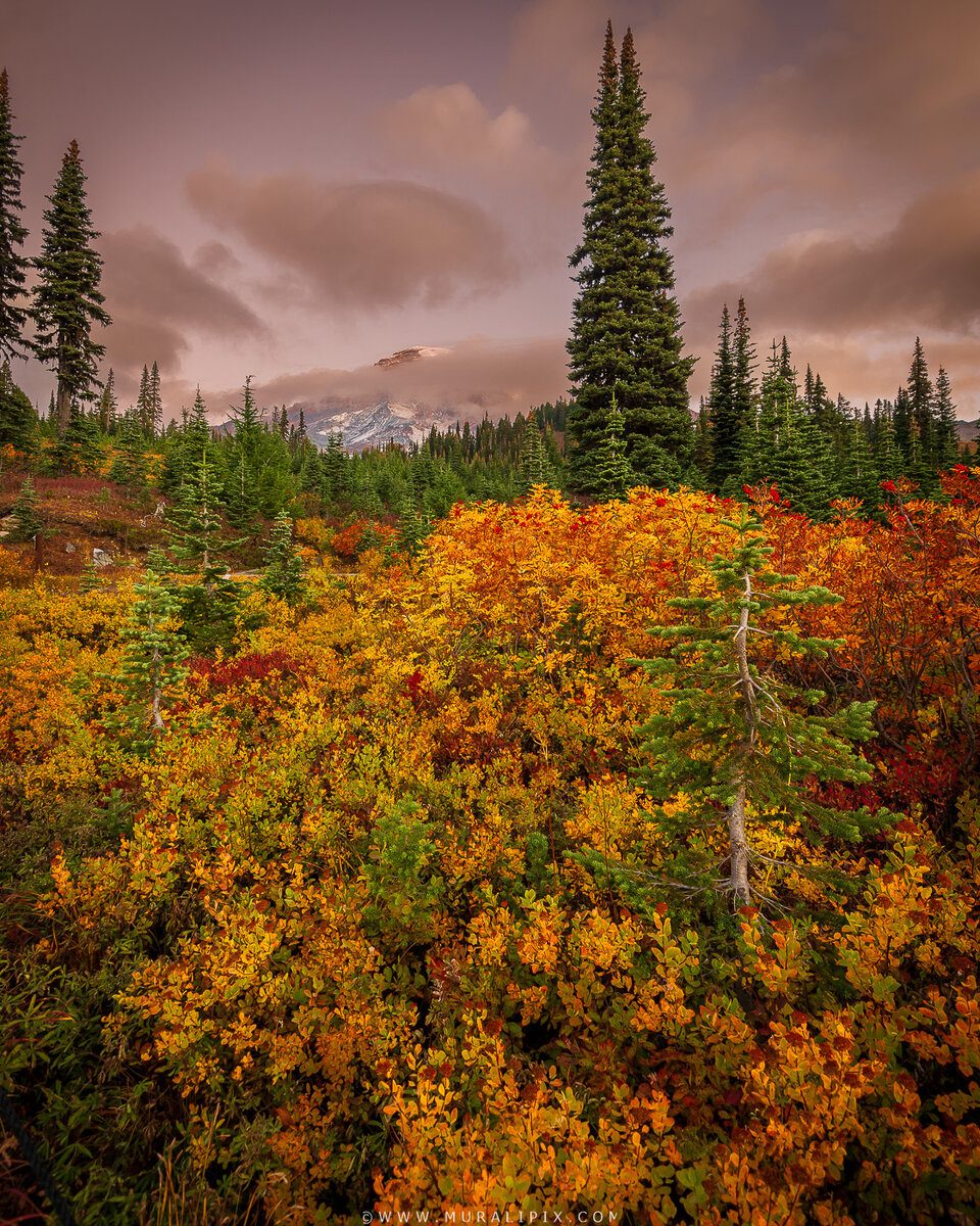 2025.10.08 - Rainier Sunrise 01.jpg