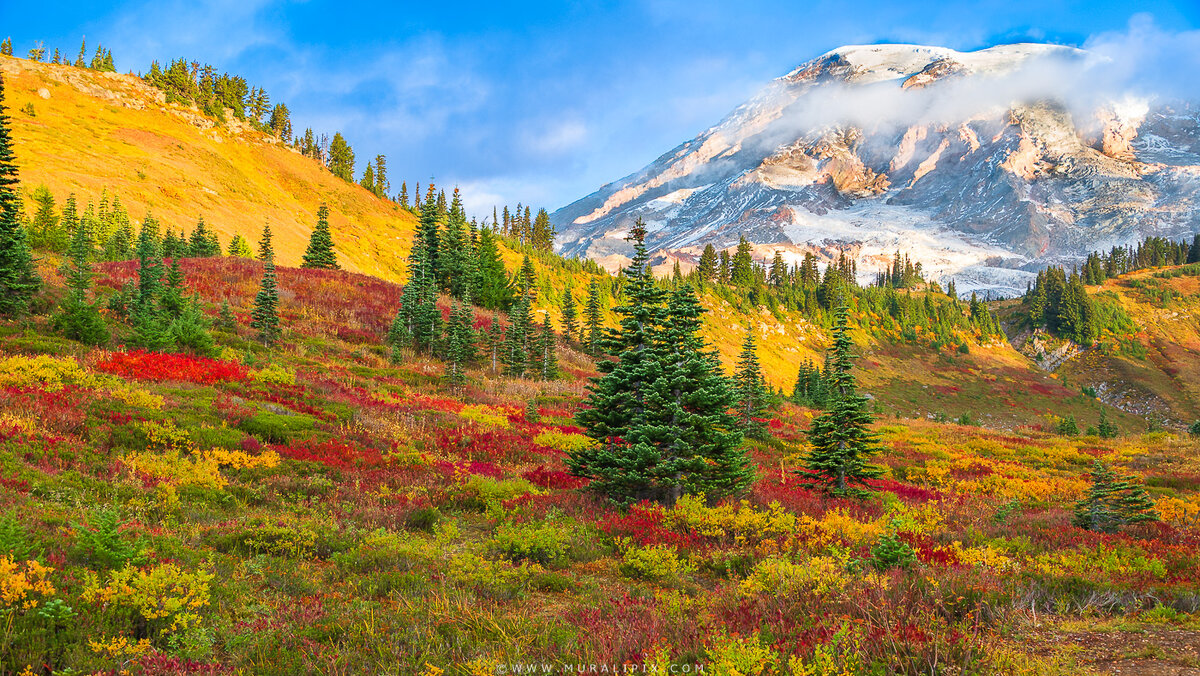 2025.10.08 - Rainier Sunrise 03a.jpg