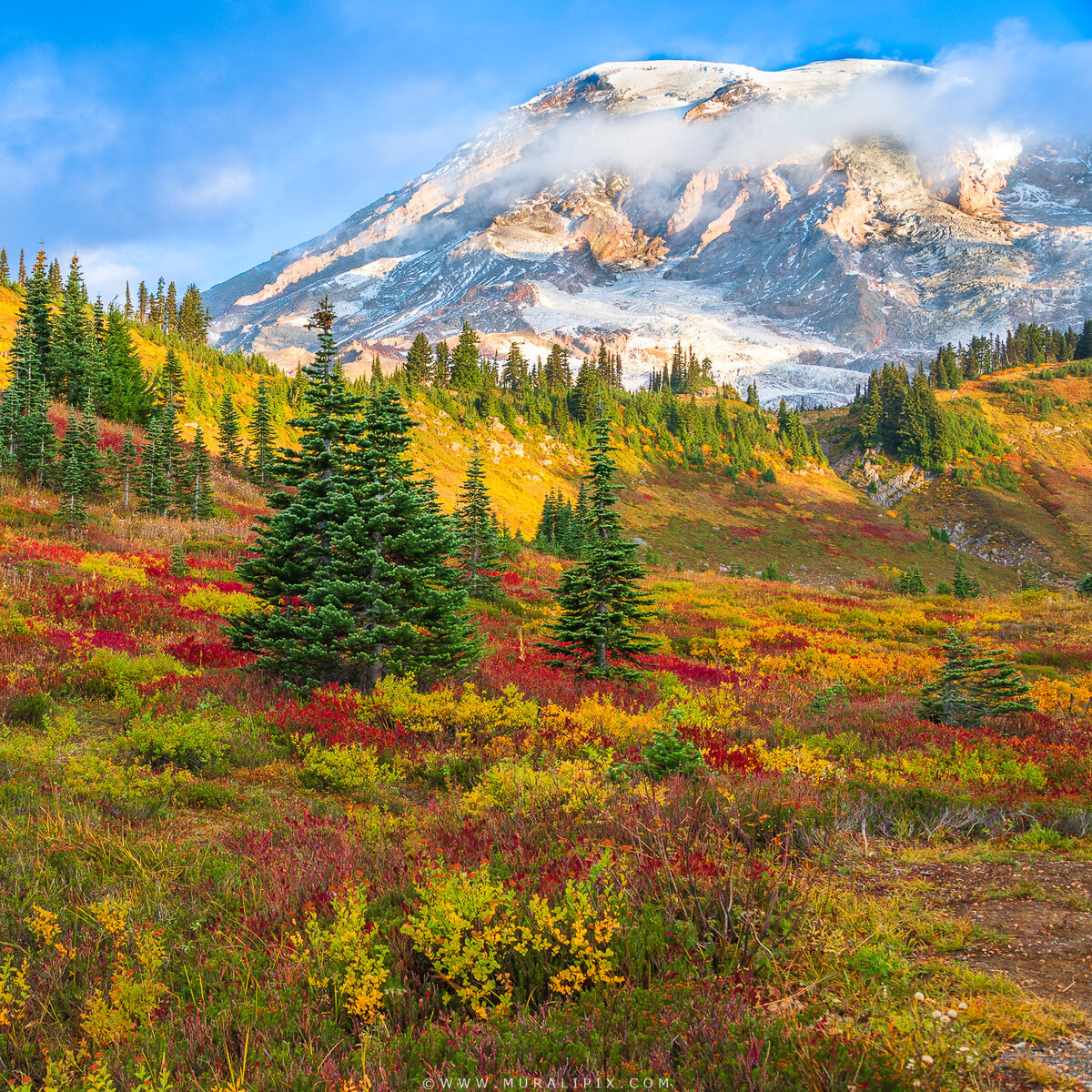2025.10.08 - Rainier Sunrise 03b.jpg