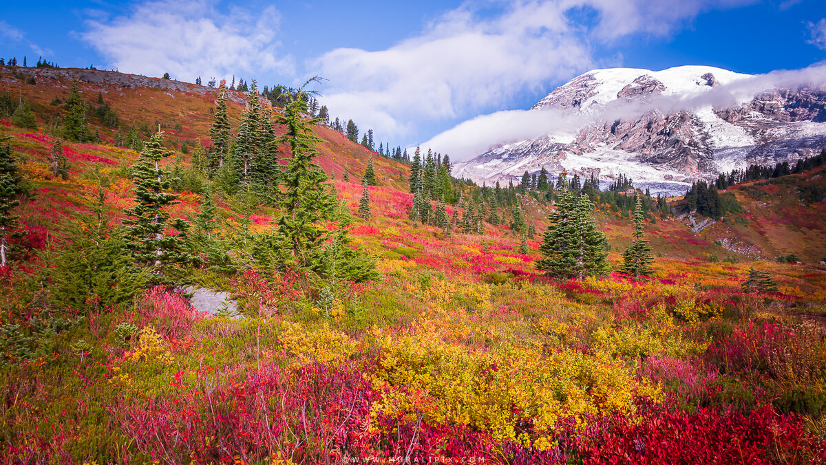 2025.10.08 - Rainier Sunrise 11.jpg