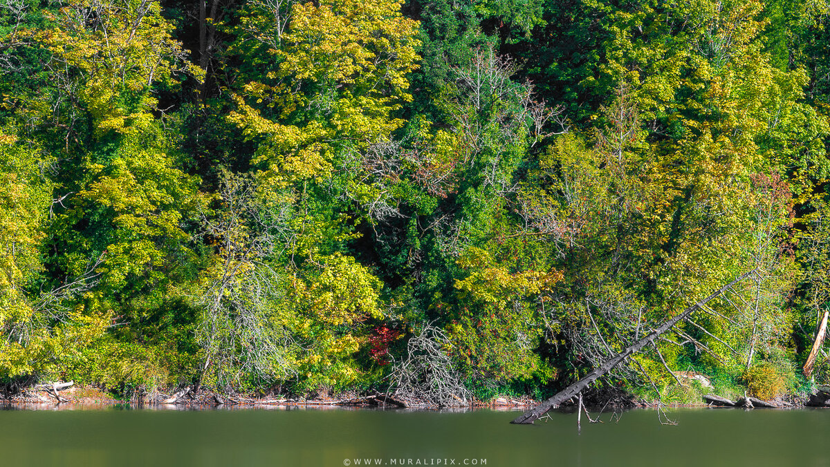 2025.10.14 - Lake Fenwick 2.jpg