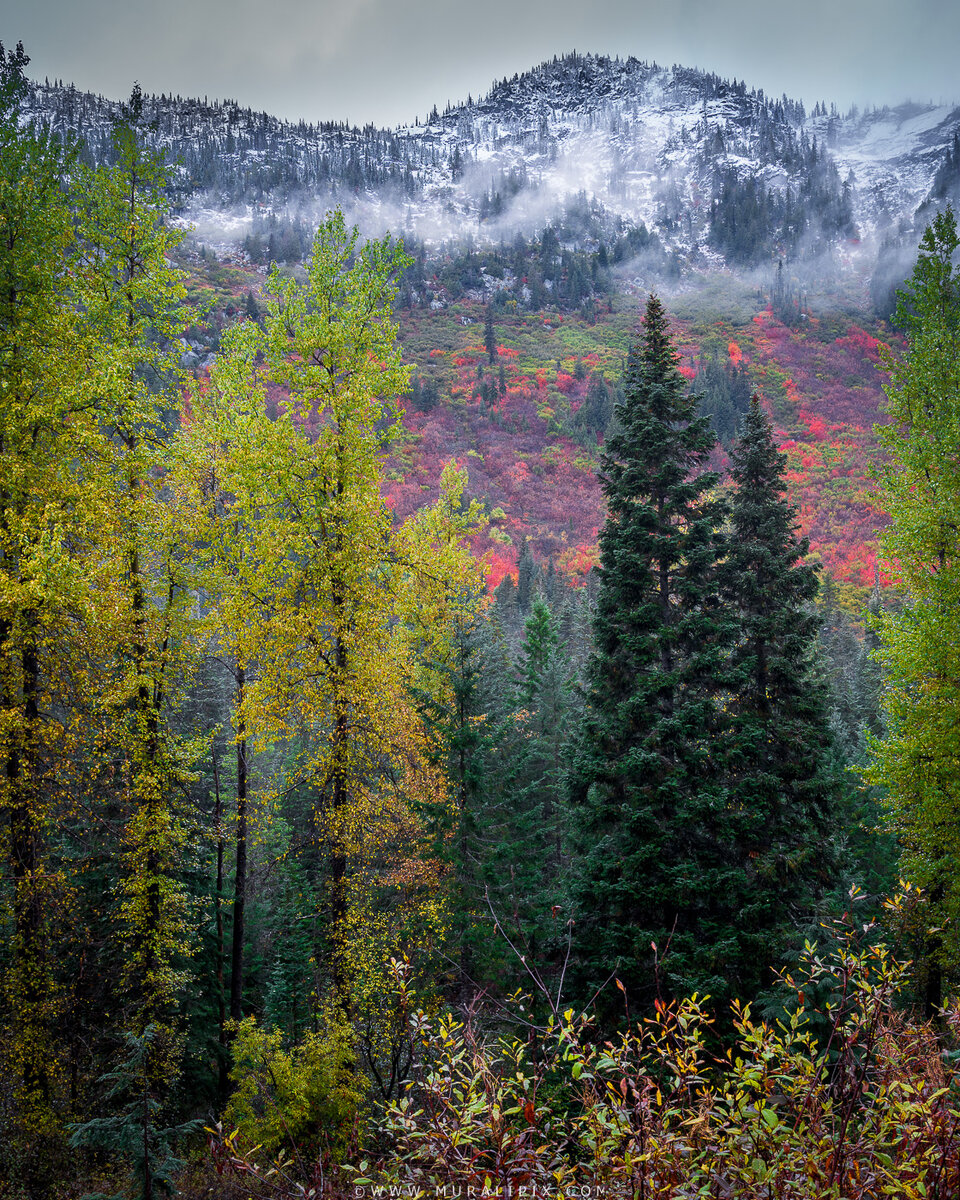 2025.10.20 - Stevens Pass HWay 02.jpg