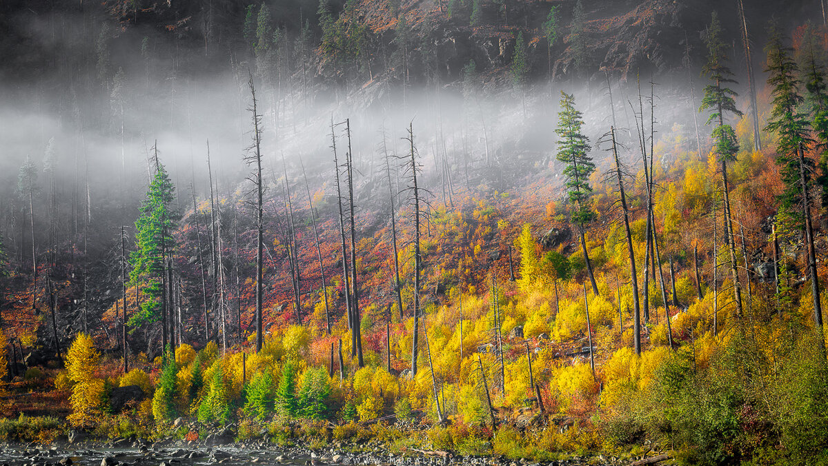 2025.10.20 - Stevens Pass HWay 06.jpg
