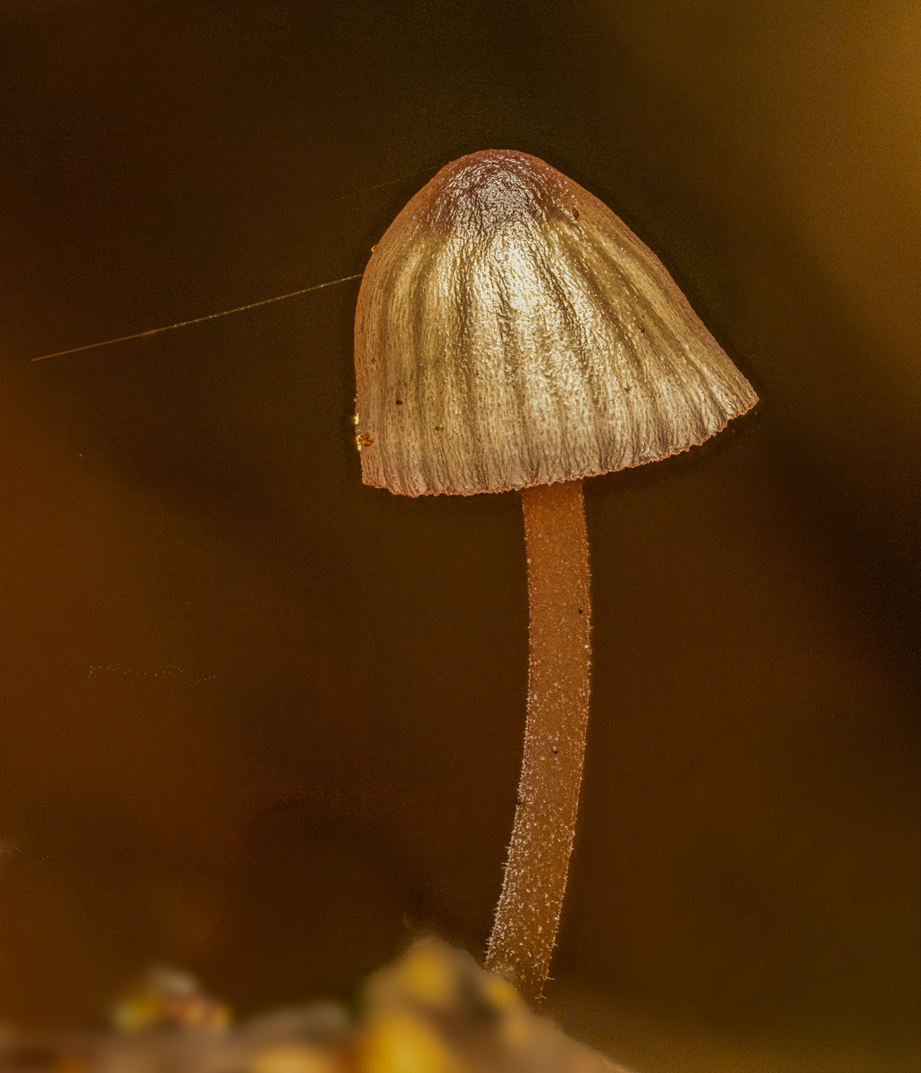 2025-11-11 16-45-39 (C,S4)-Edit-Edit.jpg