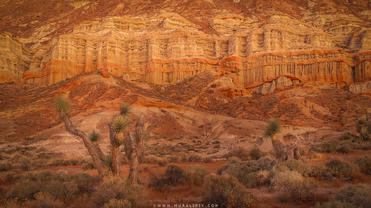 2026.03.13 Hagen Canyon 01.jpg