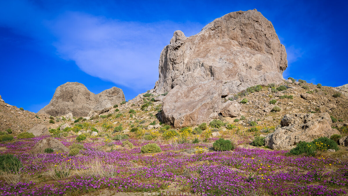 2026.03.13 - Trona Pinnacles 06.jpg