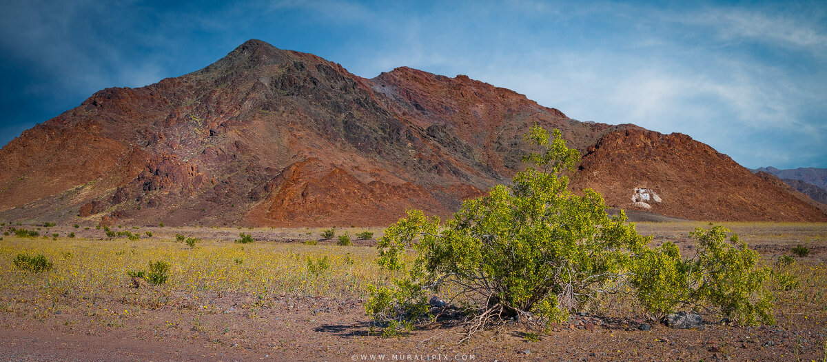 2026.03.14 - Jubilee Pass Rd 03.jpg