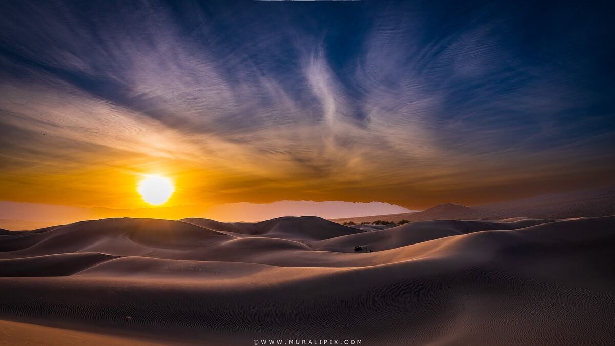 2026.03.15 - Mesquite Dunes 05.jpg