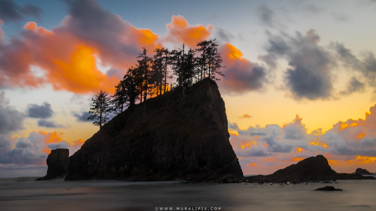 2026.05.16 La Push Second Beach Sea Stacks 06.jpg