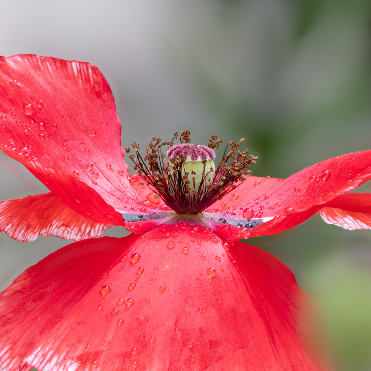2026-08-10 20-32-14 (A,R8,S4).jpg