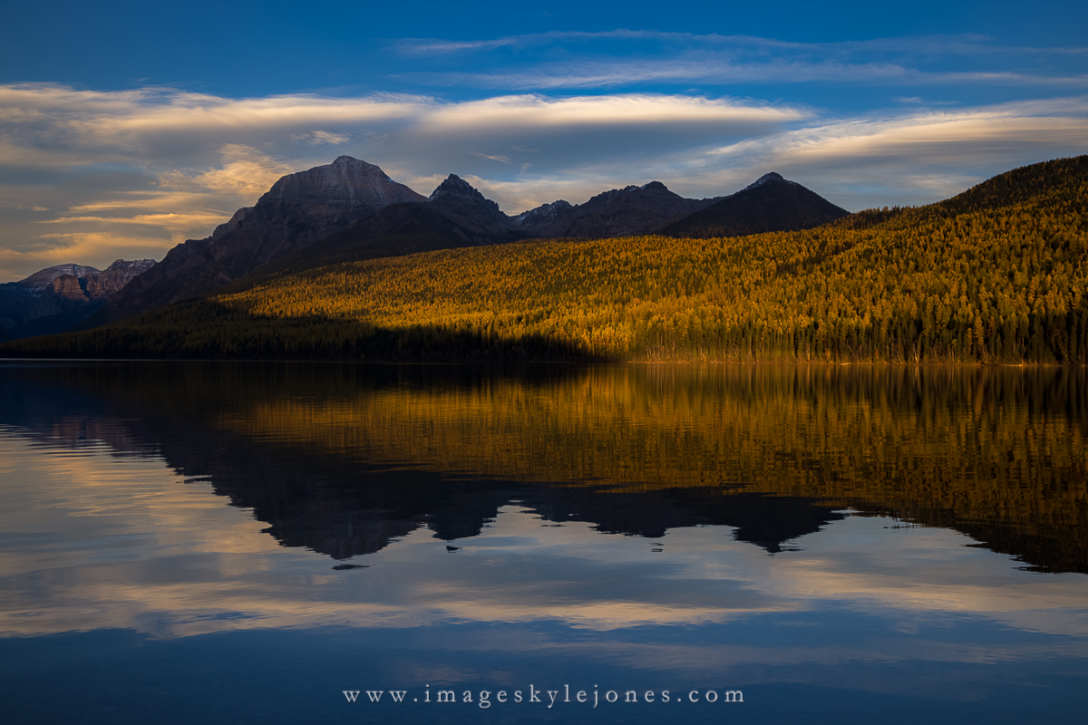 2040 Bowman Lake Glowing Trees_1200.jpg