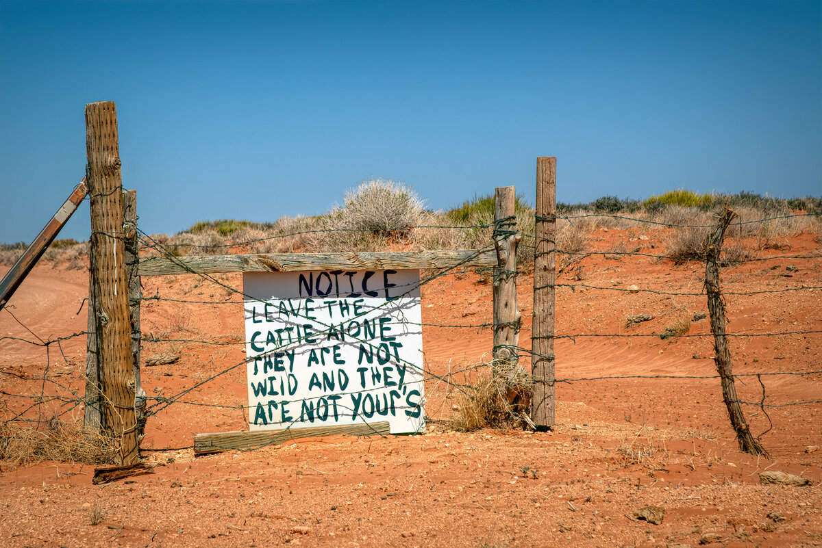 210412-22785-5DS R.jpg