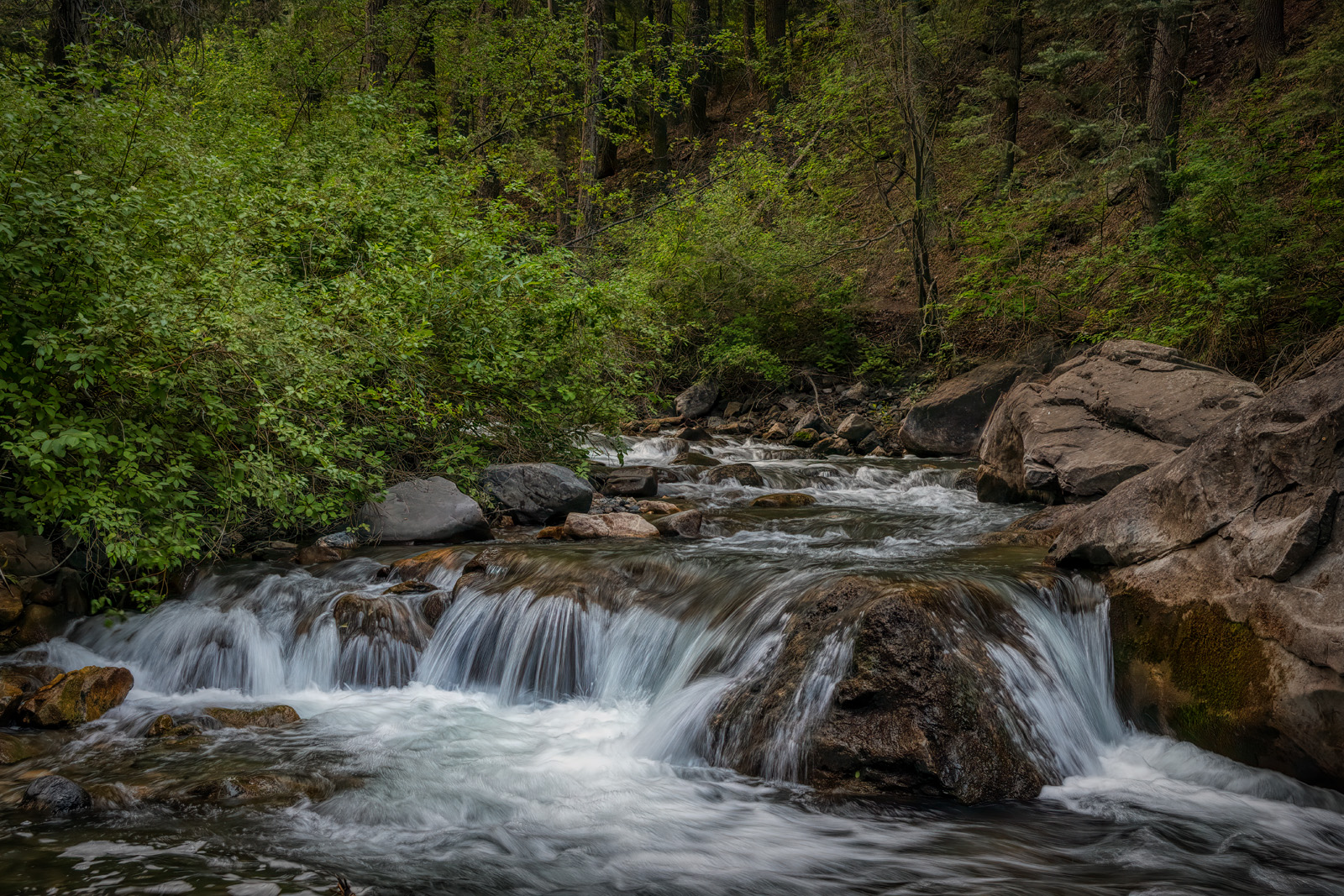 210710-25480-R5 crop.jpg