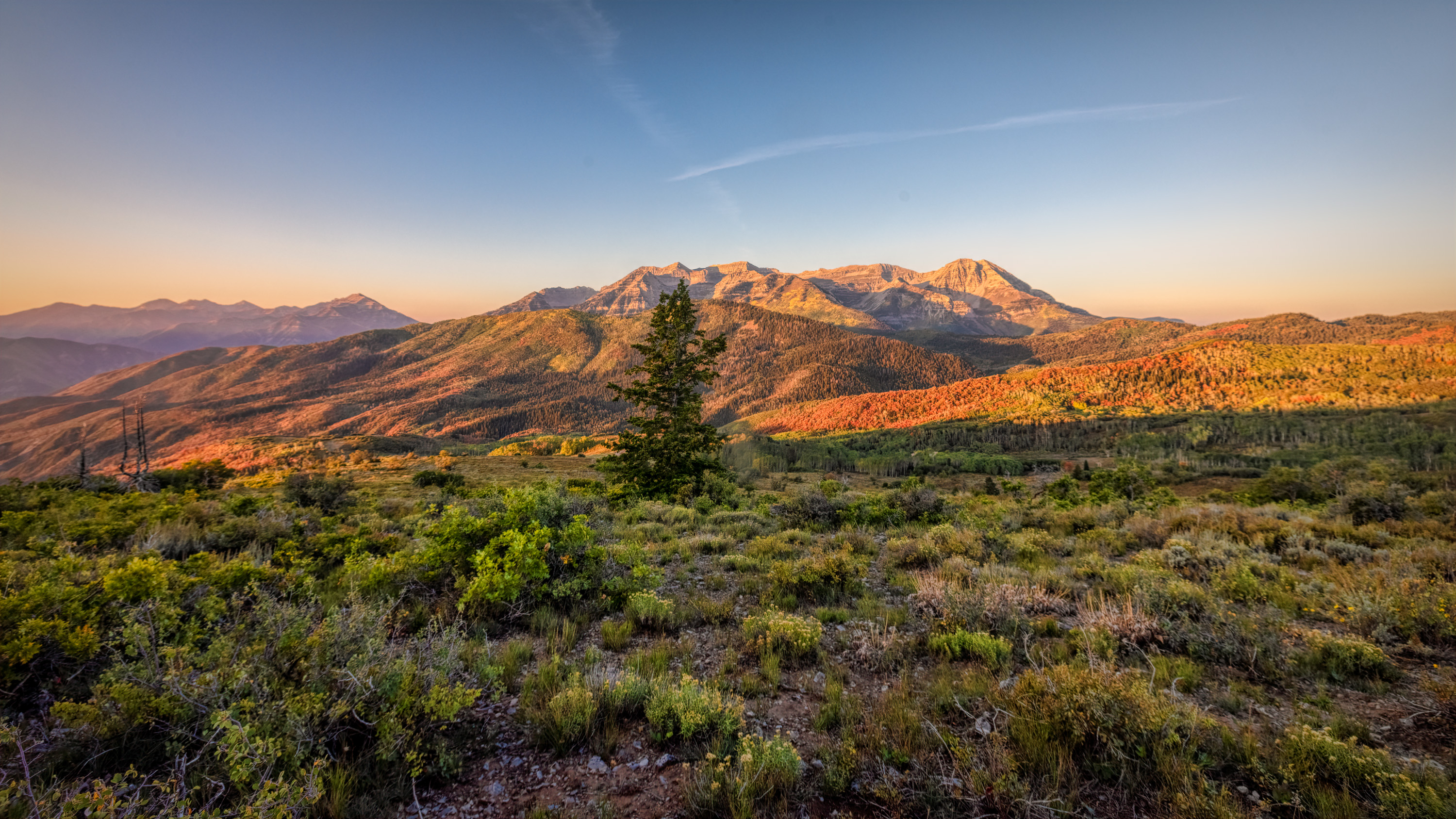 210924-26625-R5.jpg