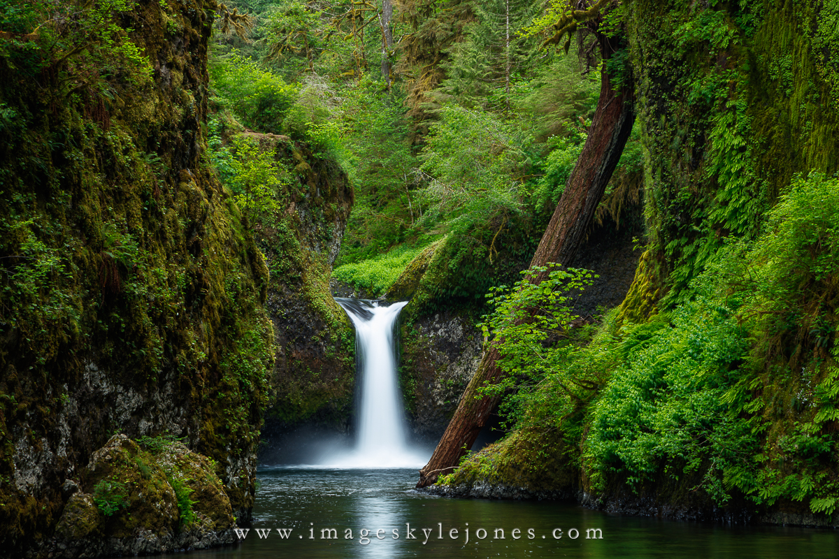 2132 Punchbowl Falls Spring_1200.jpg