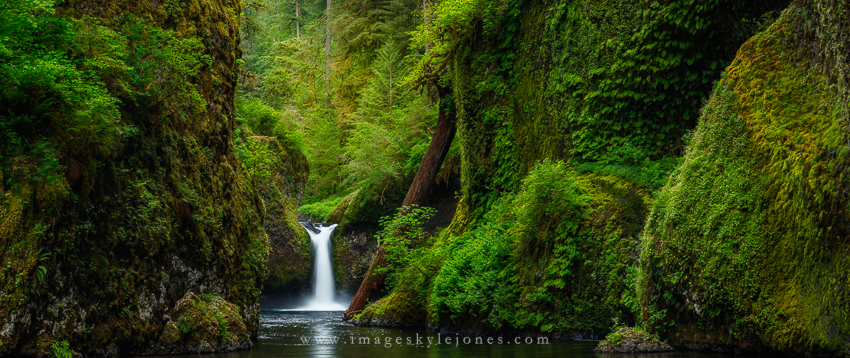 2146 Punchbowl Panorama_850.jpg