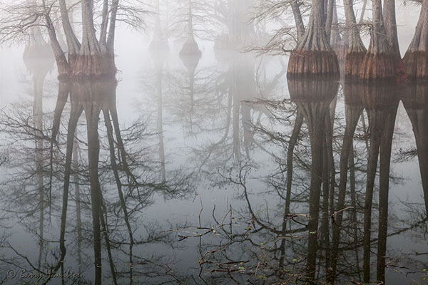 21_Reflections_Barry.jpg
