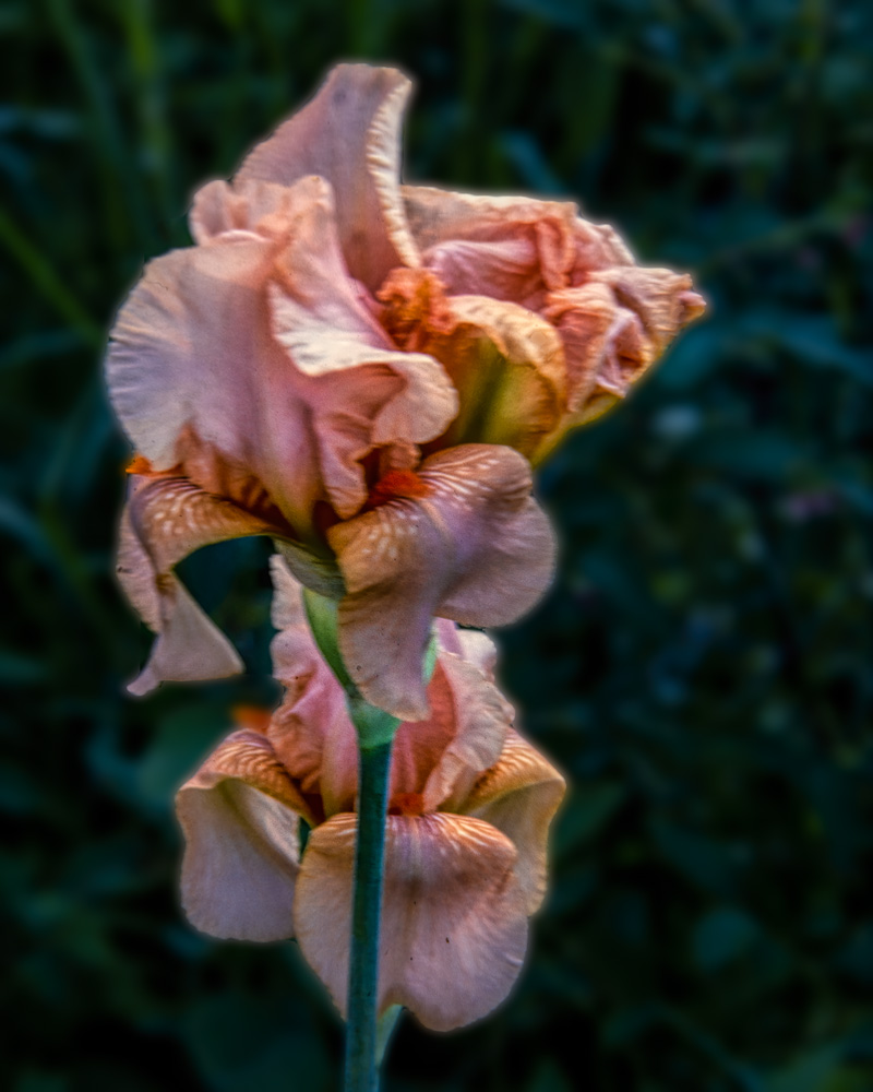 220121-27415-R5.jpg