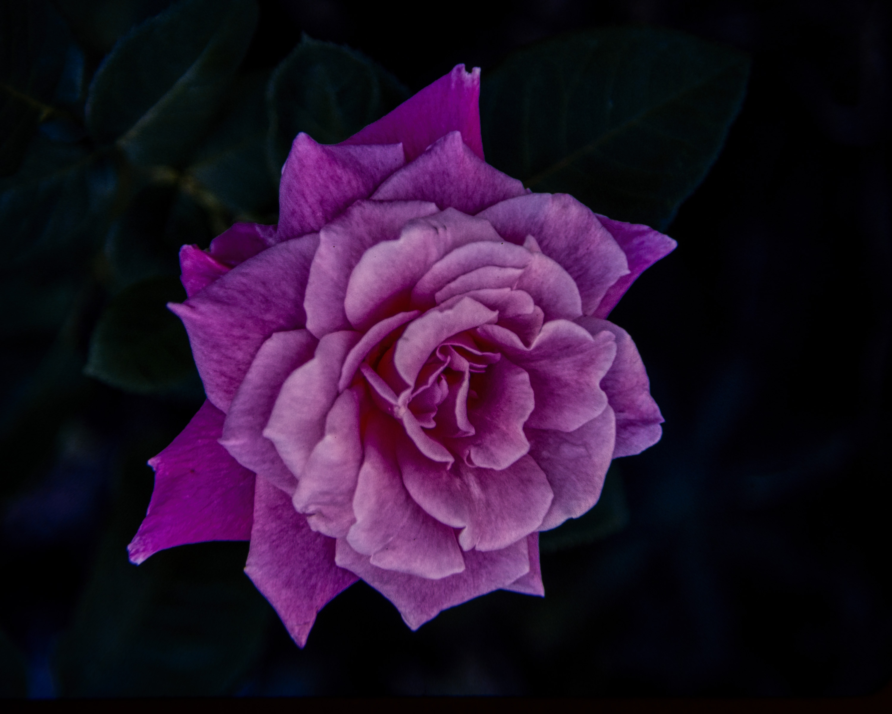 220204-27520-R5.jpg