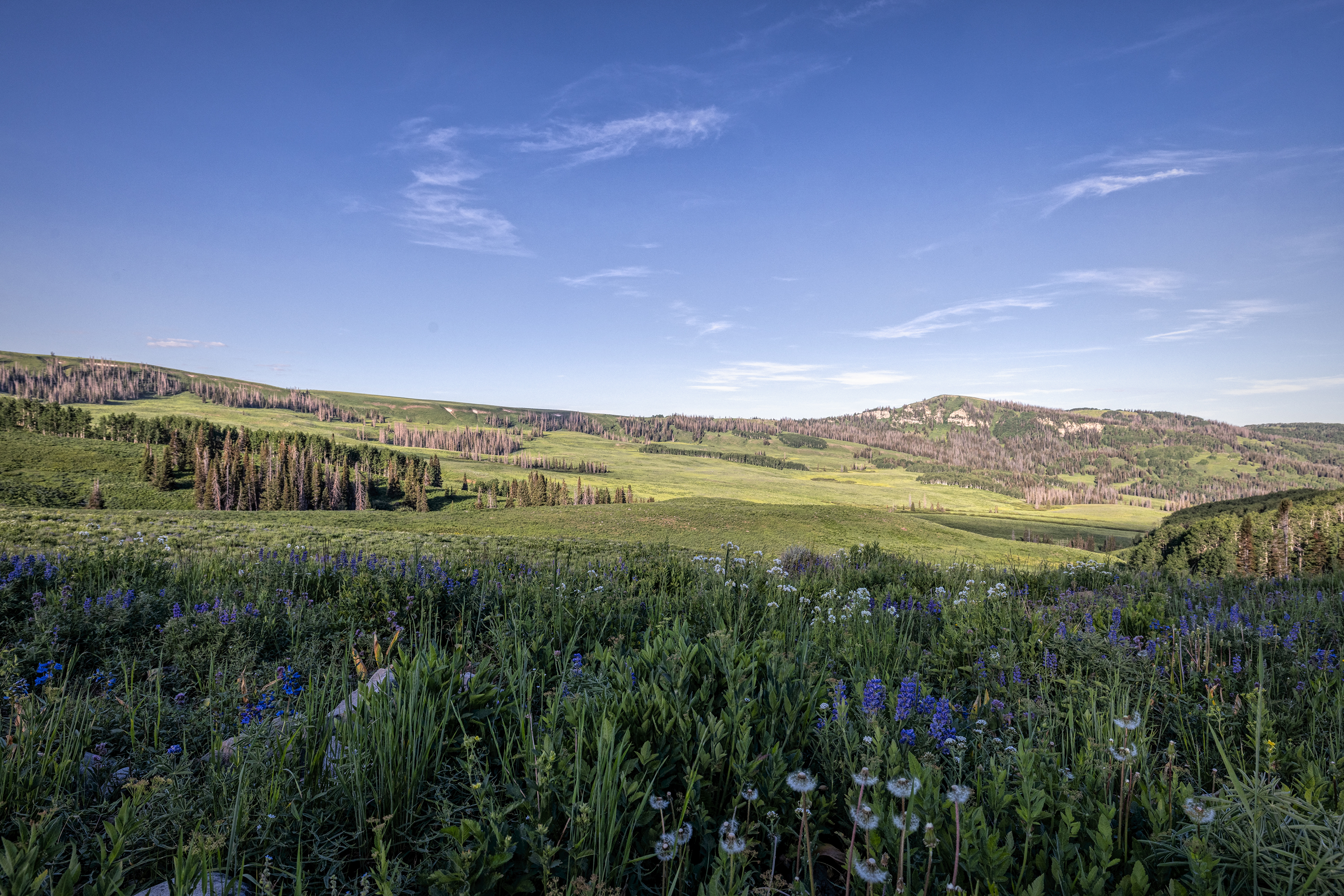 220709-2117-R5.jpg
