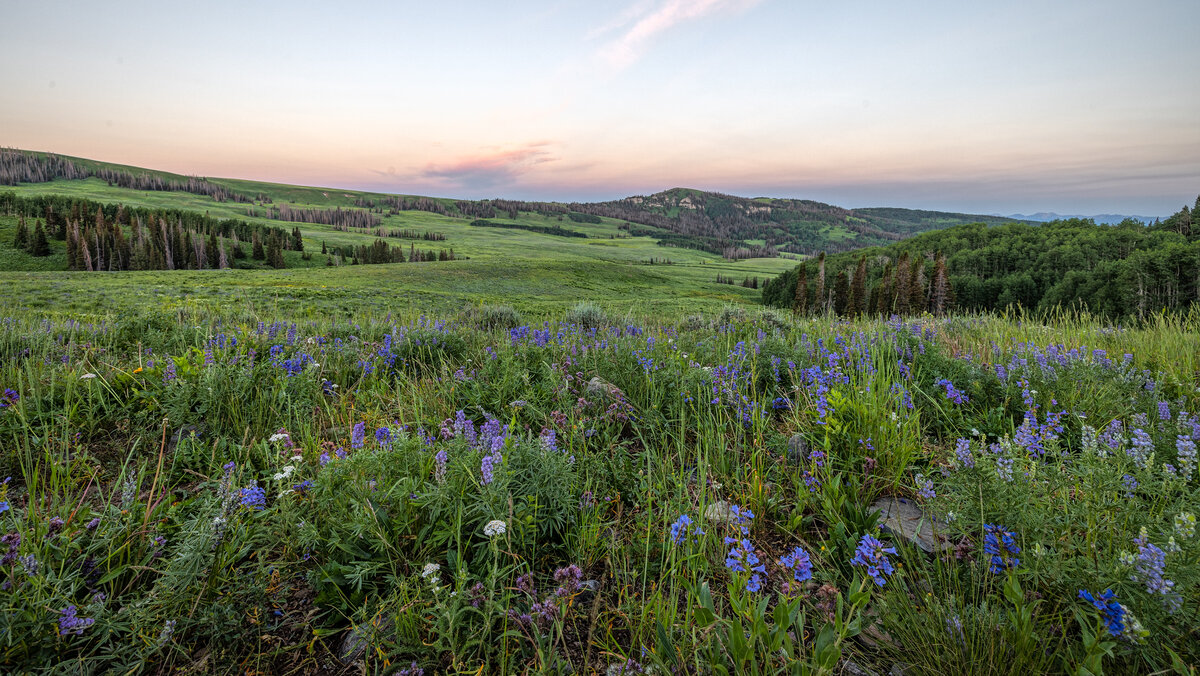 220716-2239-R5 crop.jpg