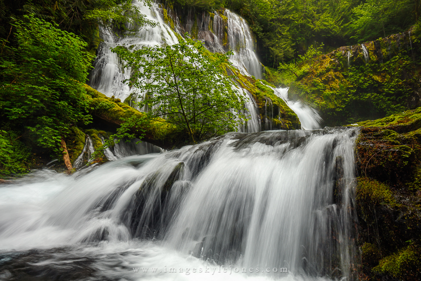 2247 Panther Creek Falls_850.jpg