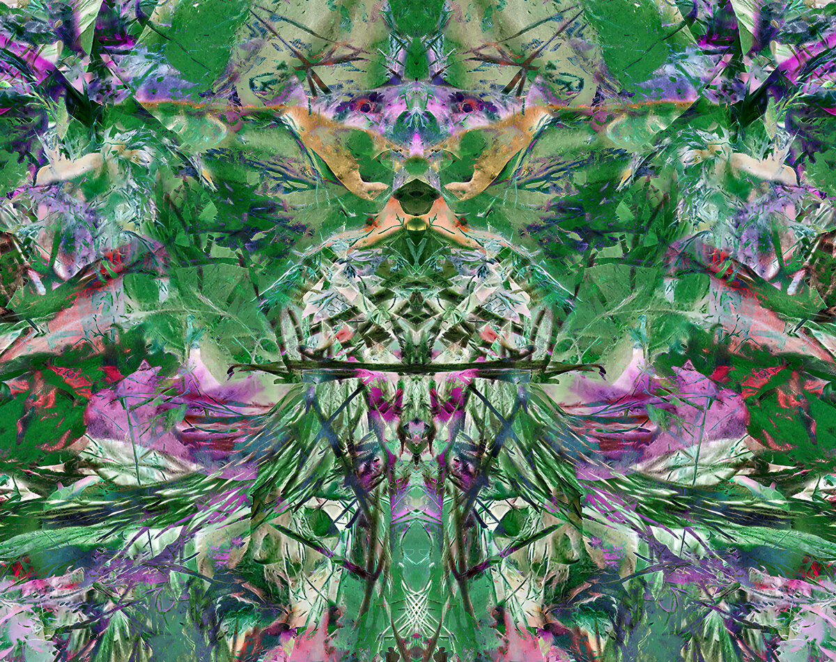 2260w2.jpg