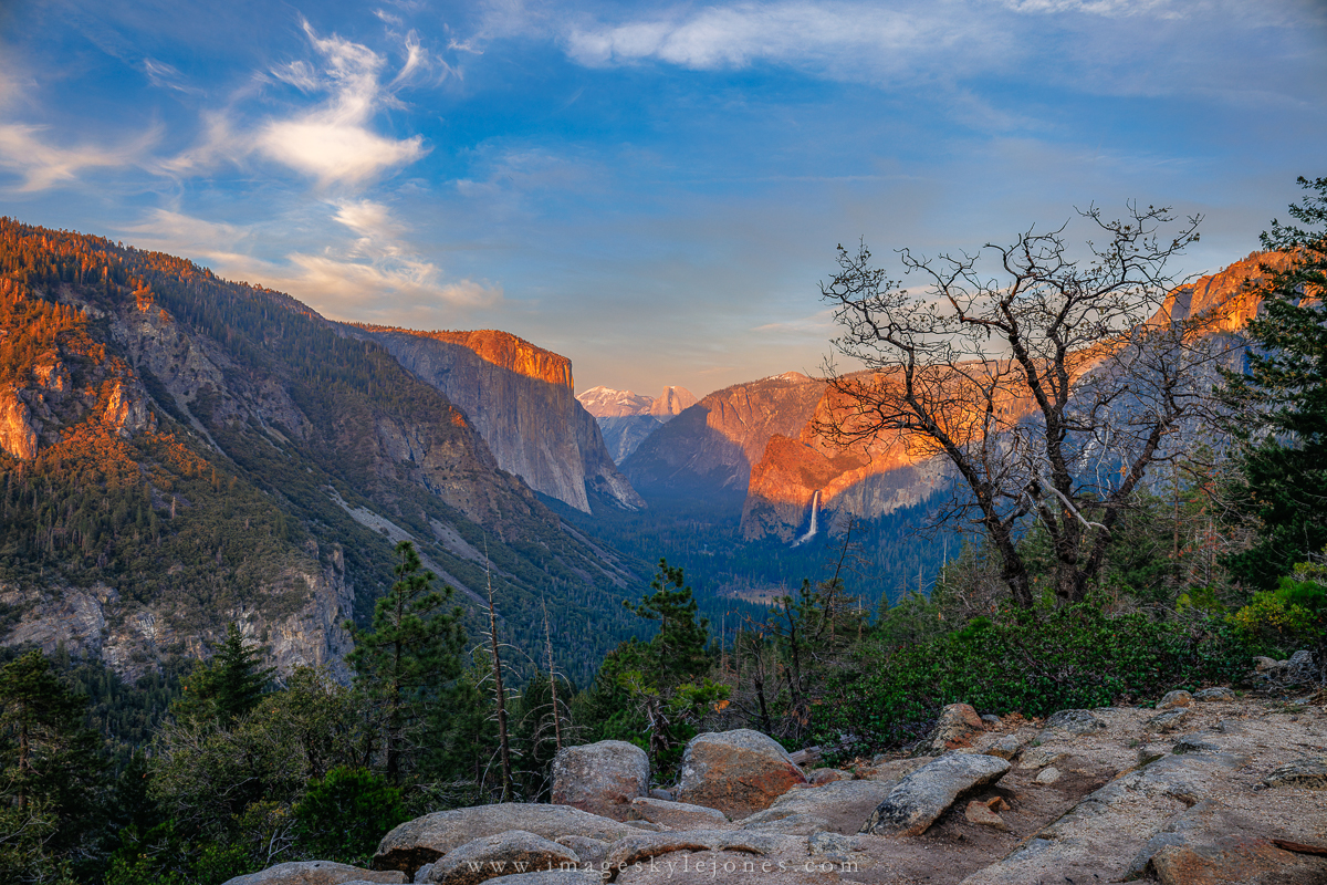 2261 Golden Inspiration_1200.jpg