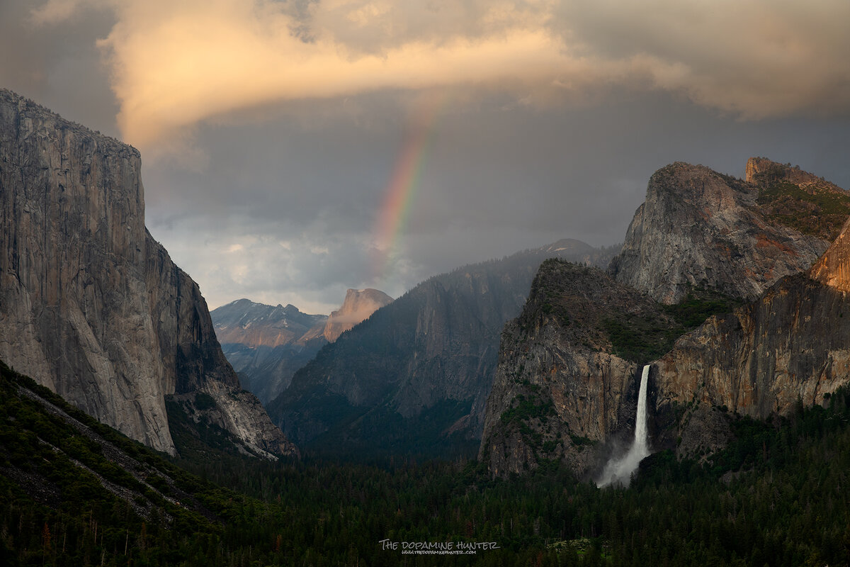 23-06-10-Yosemite-1227web.jpg