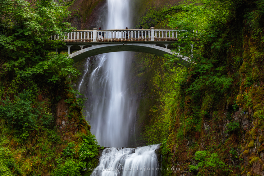 2302 Multnomah and Bridge_850.jpg