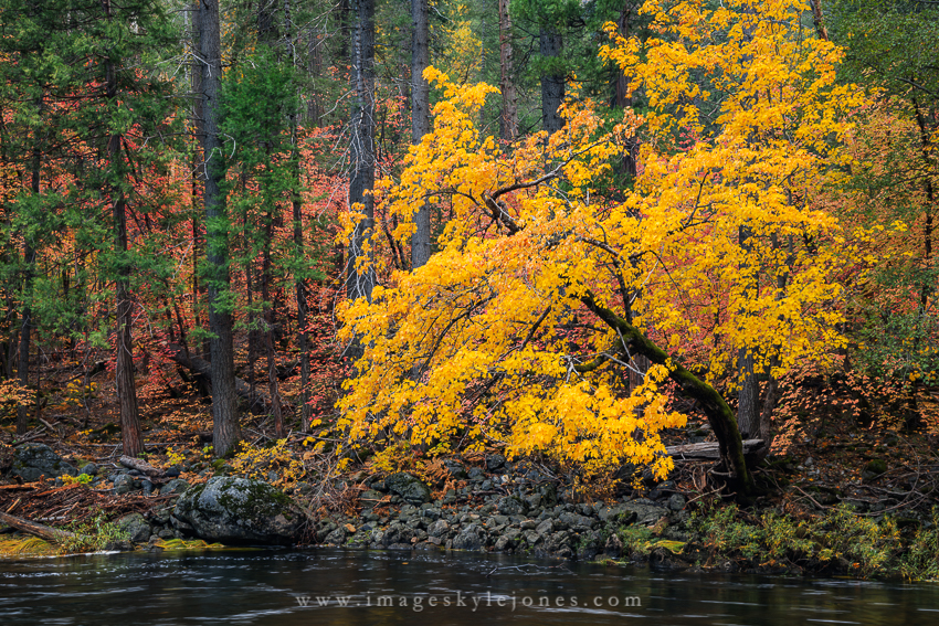 2309 Merced River Colors_850.jpg