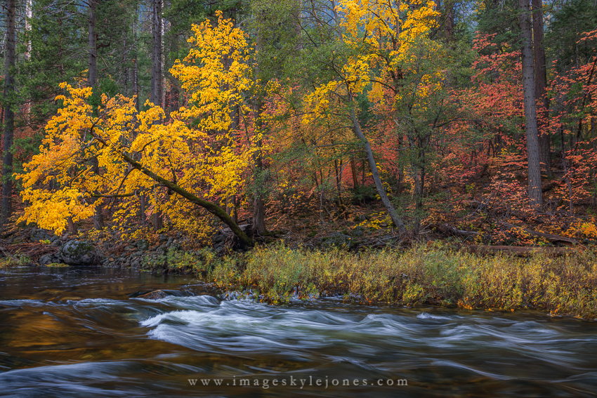 2315 Merced River Colors_850.jpg