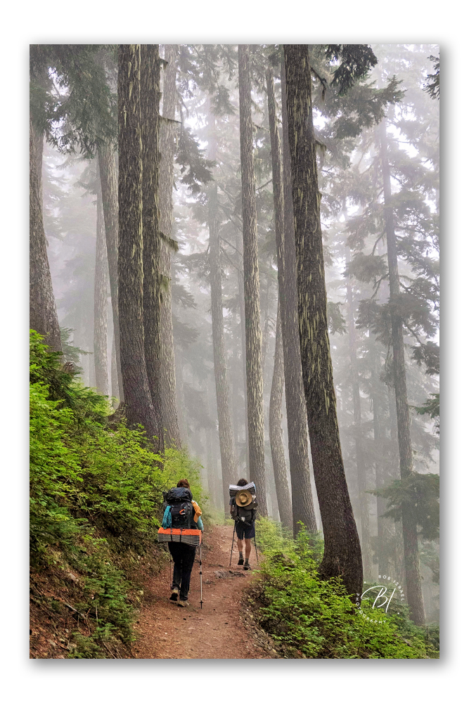 2509 Washington-460-Edit_BIP 1000_667x1000_U_100.jpg