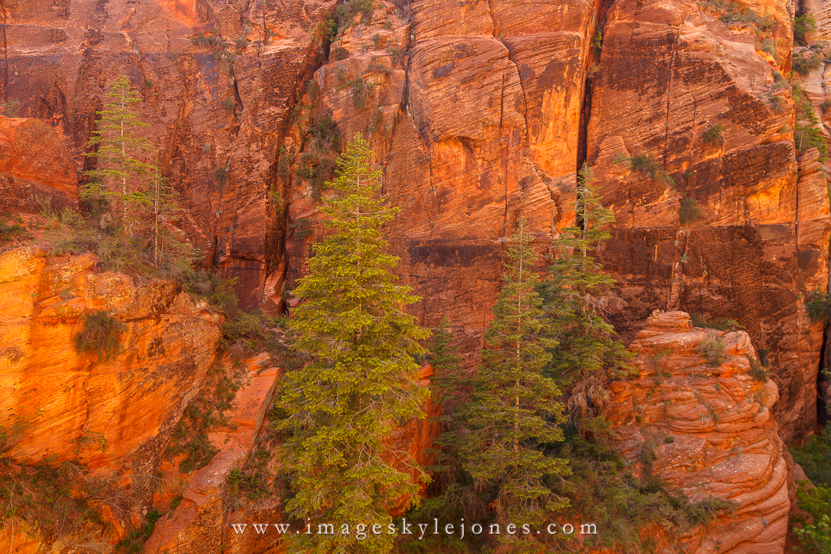 2663 Refrigerator Canyon_1200.jpg