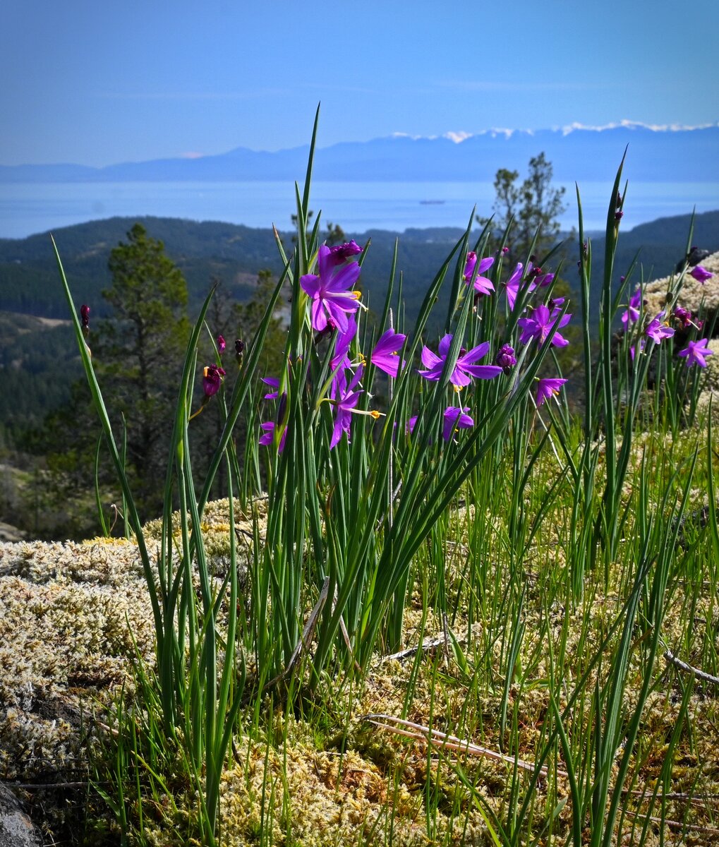 27 SK24 DSC_1720.jpg