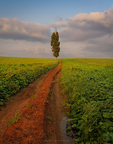 27_Roads_Andrey.jpg
