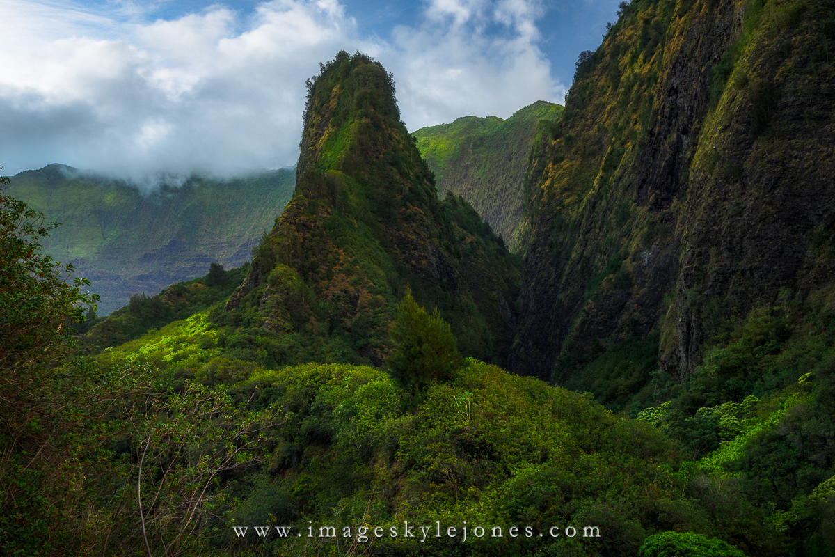 2837 Iao Needle Landscape_1200.jpg
