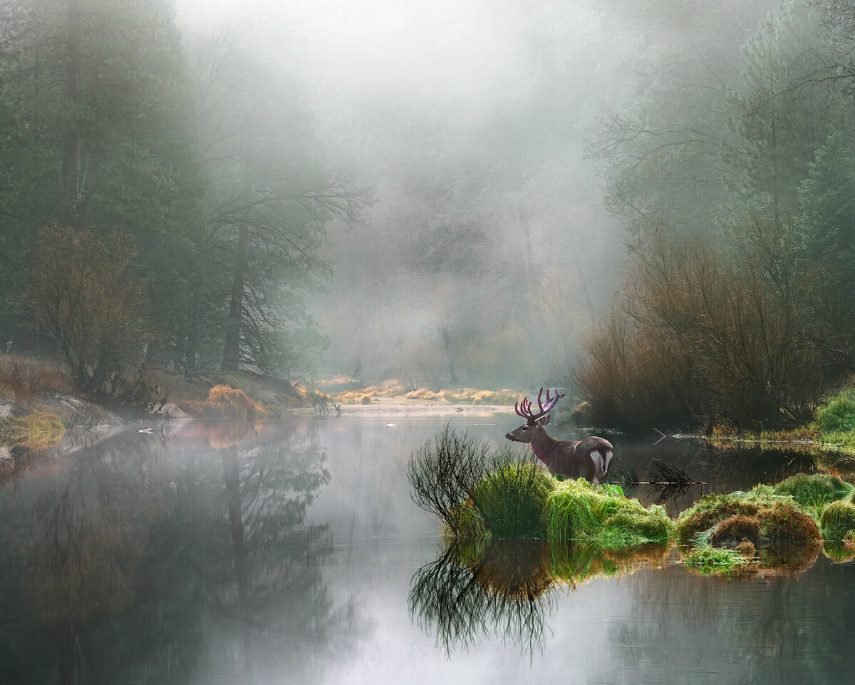 2_SandersonJ_Morning-Mist.jpg