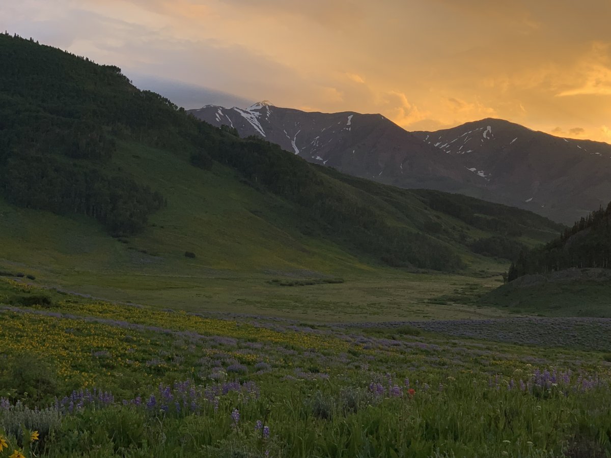 2A225218-99FE-4C0E-96D2-E2E67AB3F07F.jpeg