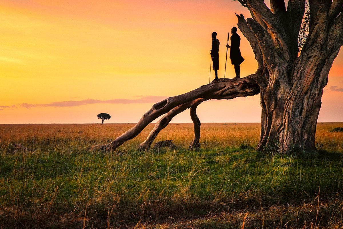 2Masai-partial-treeB.jpg
