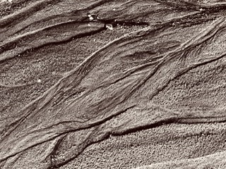 311E7CFB-DAF0-4157-B807-637CB875C201.jpeg