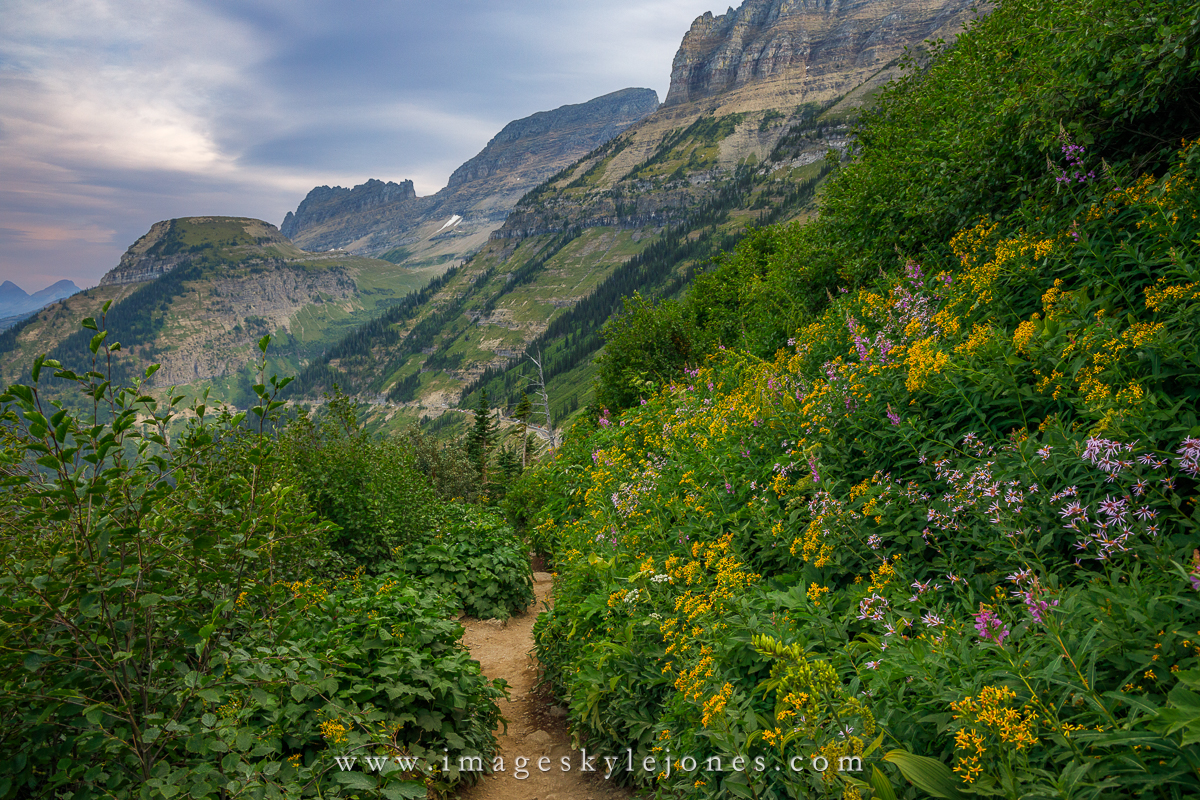 3191 Flowers on the Highline_1200.jpg