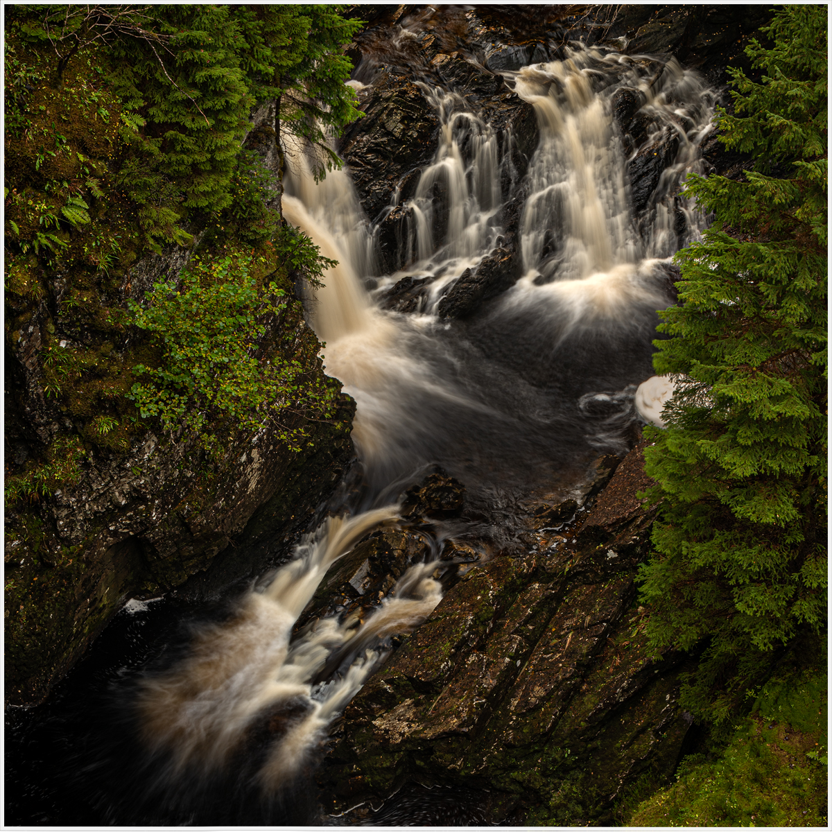 3363 3364 336 merge copy.jpg