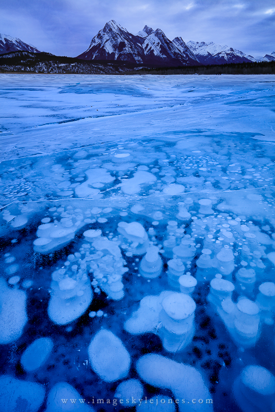 3950 Abraham Lake Bubbles_850.jpg