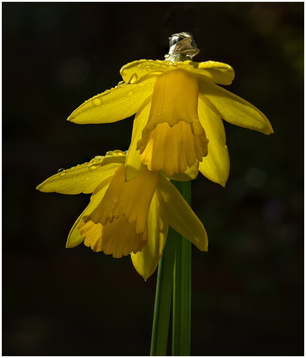 4 image stack v2 copy white stroke.jpg