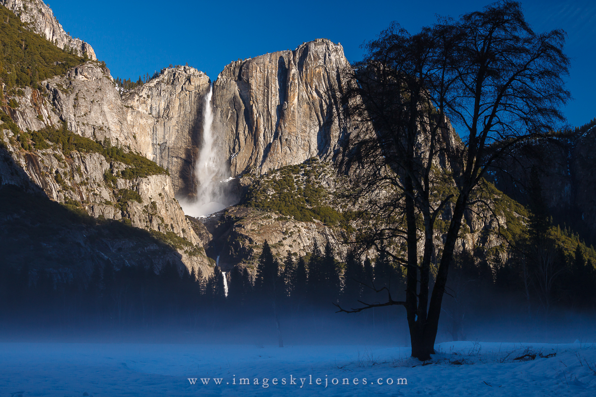 4390 Yosemite Falls and Mist Tree_1200.jpg