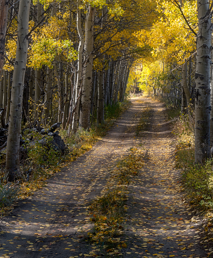 4_SandersonJ_Bend-In-The-Road.jpg